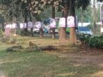 Atribut Kampanye Dipaku di Pohon (4)