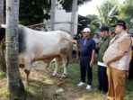 Wali Kota Tangerang Tinjau Proses Penyembelihan Hewan Kurban Wali Kota Tangerang Tinjau Proses Penyembelihan Hewan Kurban